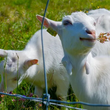 Bright 2-bedroom With Terrace And Fireplace