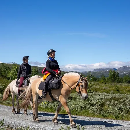 Bright 2-bedroom With Terrace And Fireplace 度假居 Beitostolen